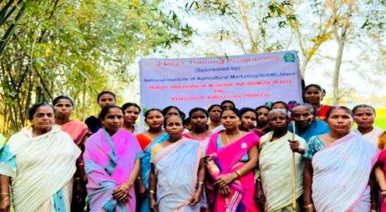 Women's group at an agricultural marketing training programme