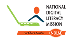 NDLM logo